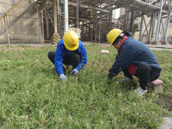 3月22日，行政保衛(wèi)部馬師傅和孫師傅在道路兩旁清除雜草。.jpg